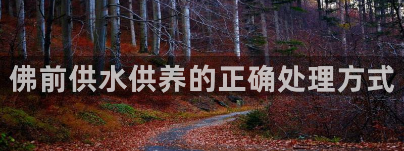 球友会qy怎么进不去