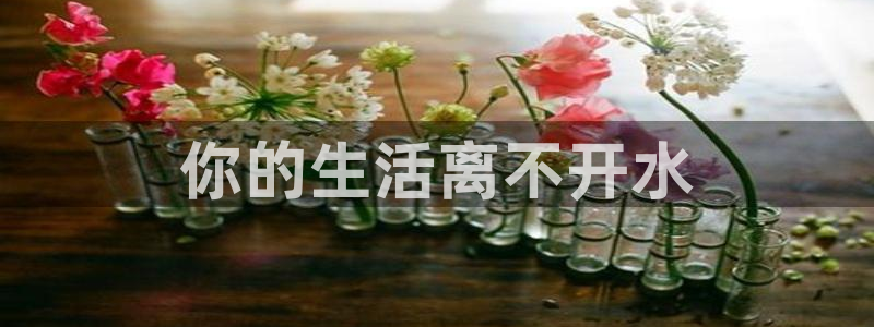 球友会聚餐发言怎么说