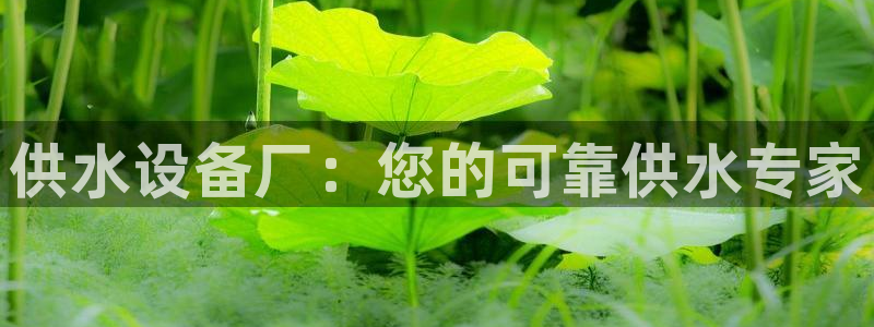 球友会app下载QY