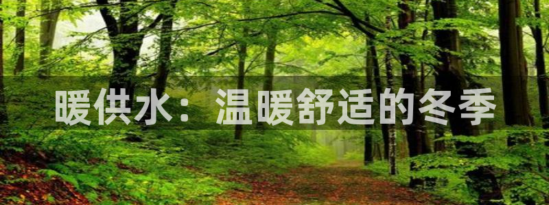 qy球友会体育官网下载