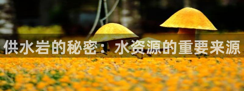 球友会赛程