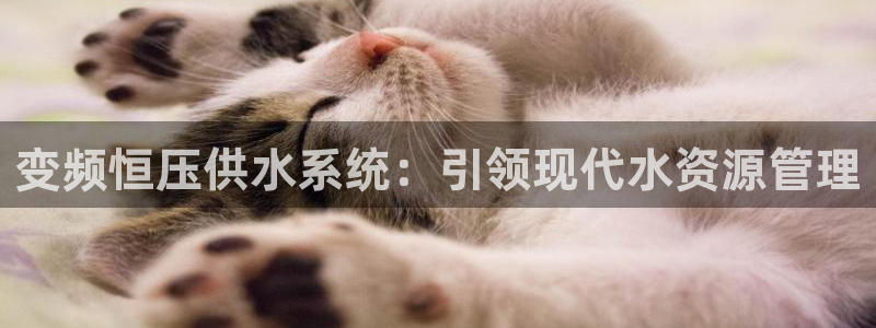 球友会logo