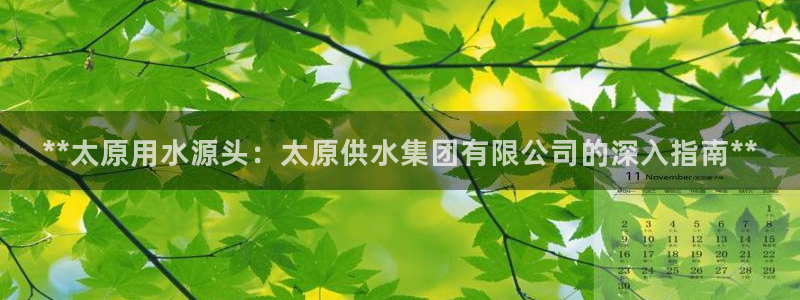 球友会台球俱乐部官网