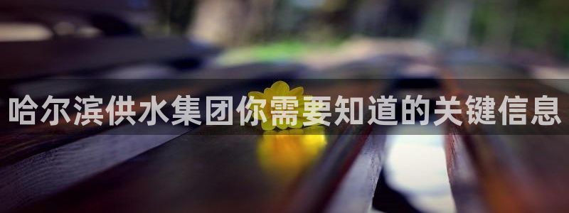 球友会官网下载