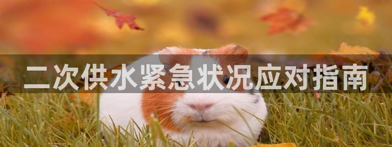 球友会网站多少
