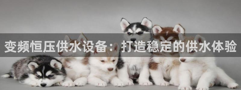 qy球友会体育官网下载