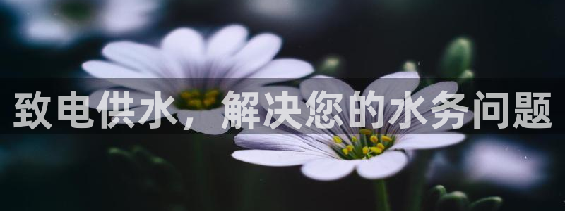 qy球友会体育怎么样