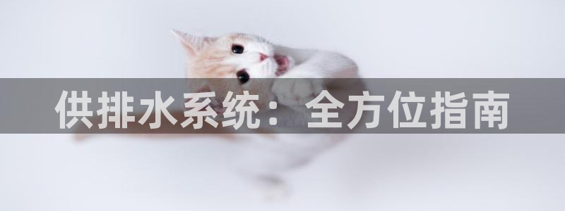 球友会·(QY)官方网站