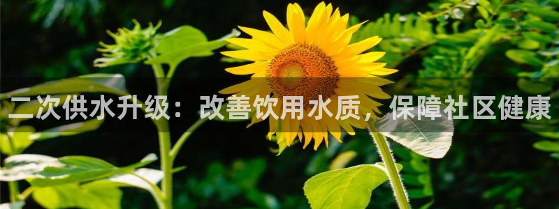球友会app安全吗可靠吗知乎
