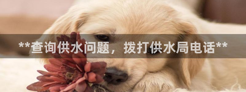 球友会app干啥的呀