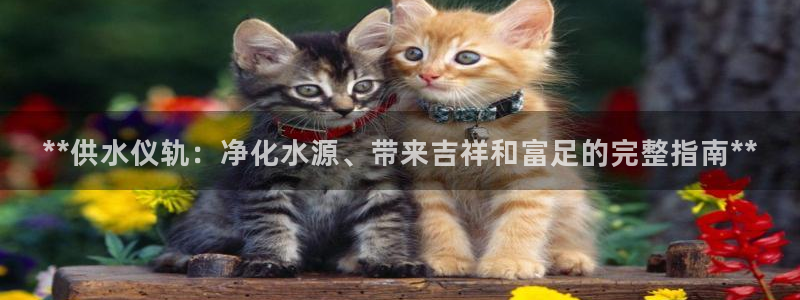 球友会提款不到账