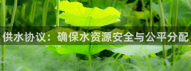 球友会英文怎么说呢翻译