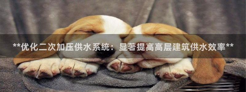 QY球友会