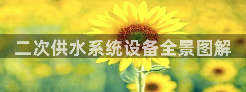 球友会的会字是哪个会