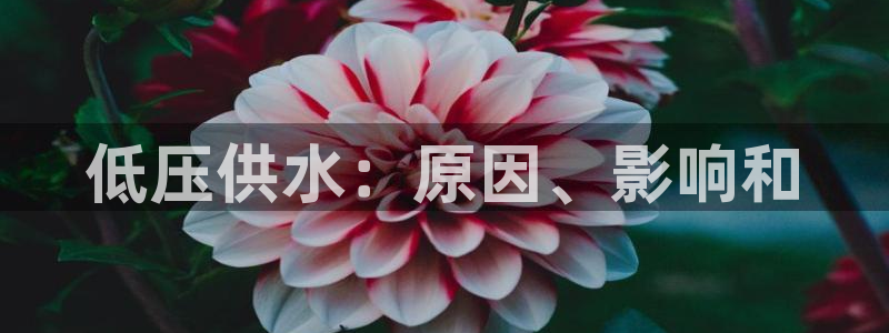 球友会下载