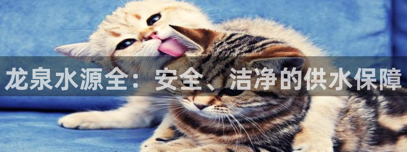 球友会体育app下载安卓最新版