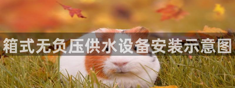 球友会app官方网站