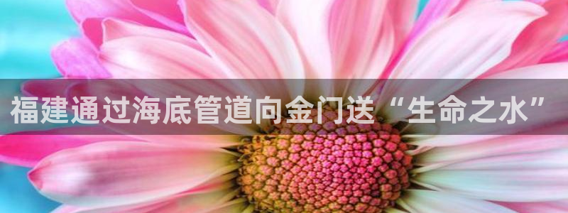 球友会下载安装