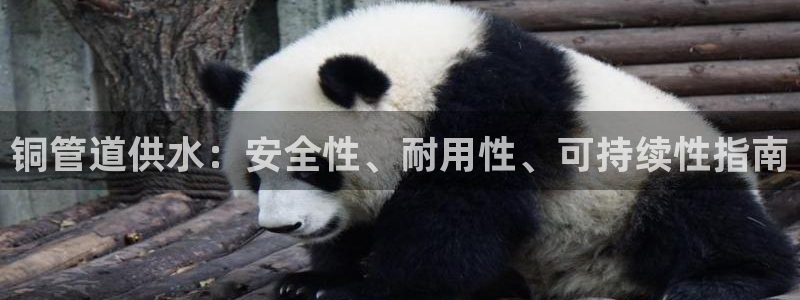 球友会体育app官方版下载安装苹果手机