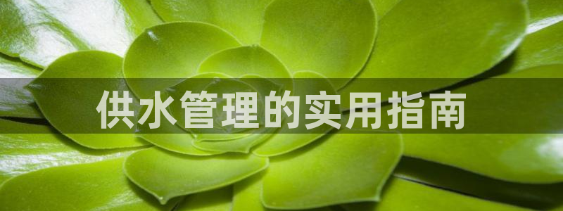 球友会qy