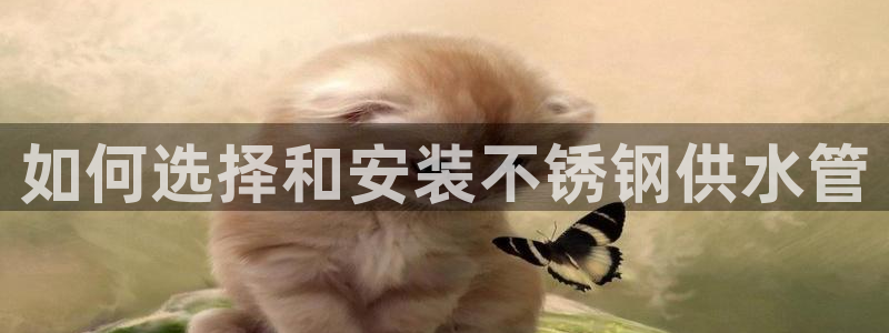 球友会·(QY)官方网站