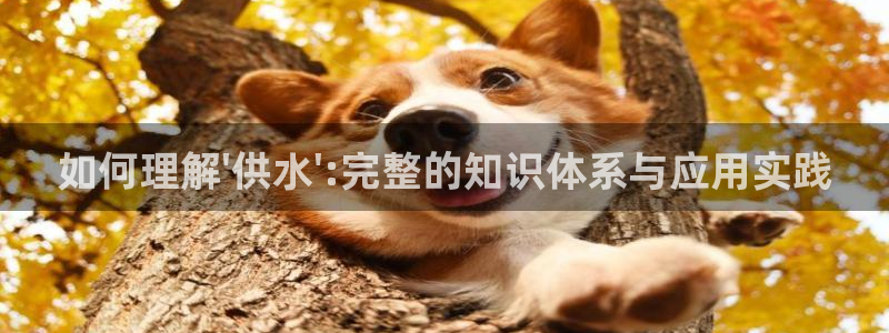 球友会首页