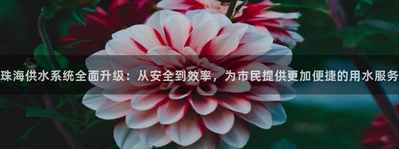 球友会联赛