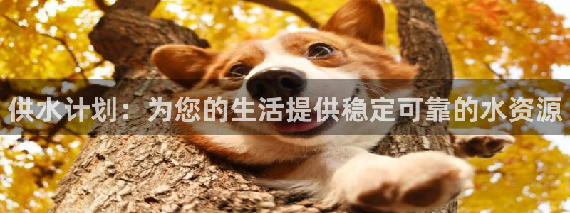 球友会台球俱乐部官网