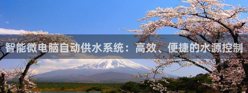 qy球友会体育官网下载