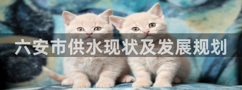 qy球友会体育官下载