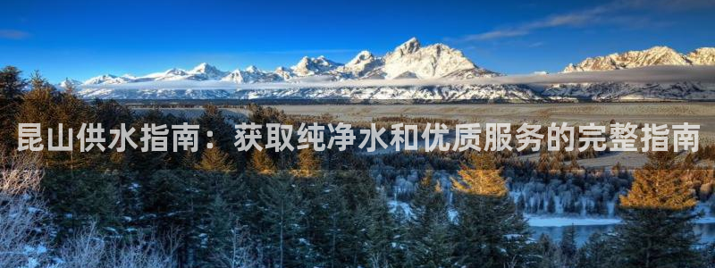 球友会体育官网