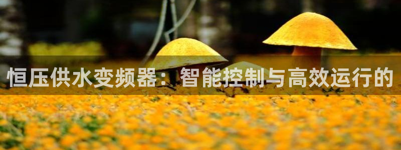 球友会体育app官方版下载安装