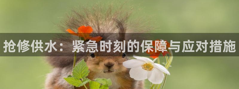 球友会提款不到账