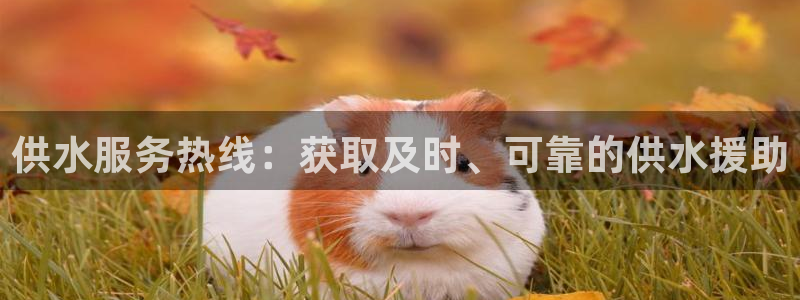 球友会·(QY)官方网站